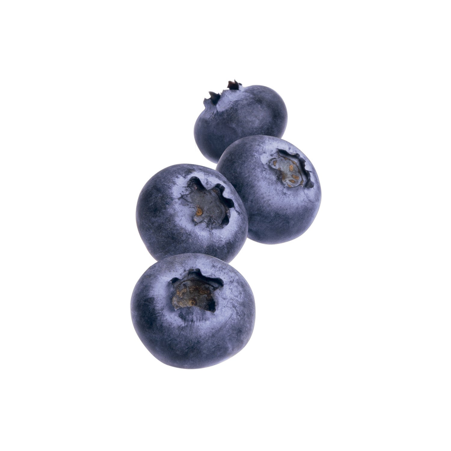 Purés refrigerados sin azúcares añadidos Arándano