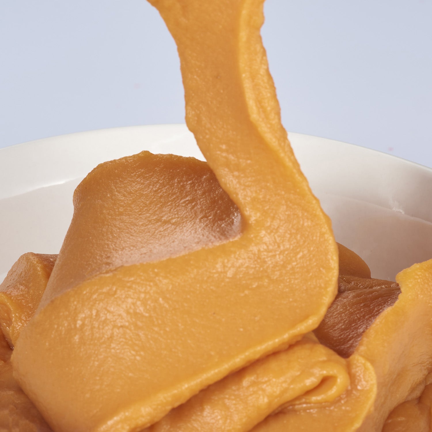 Textura puré camote.