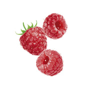 Purés refrigerados sin azúcares añadidos Frambuesa