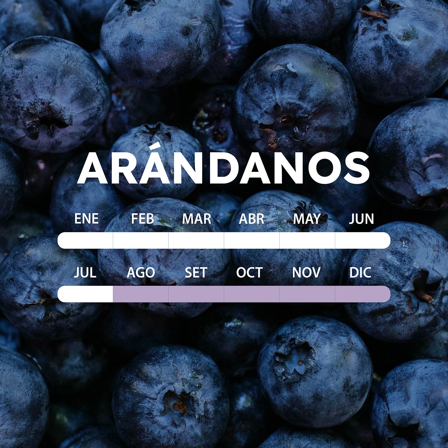 temporada-arandanos-mobile.jpg