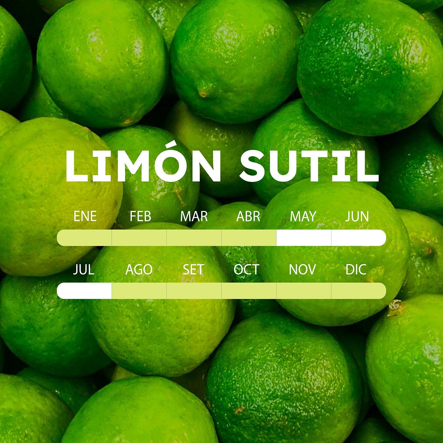 temporada-limon-sutil-mobile.jpg