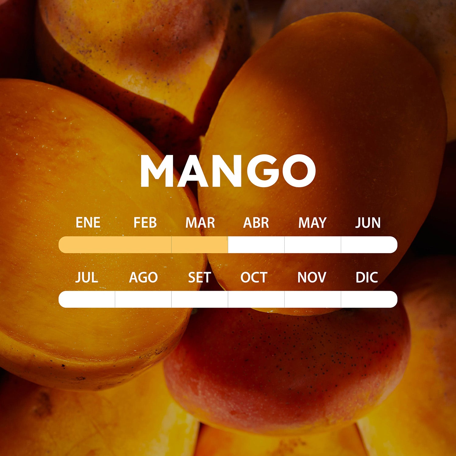 temporada-mango-mobile.jpg