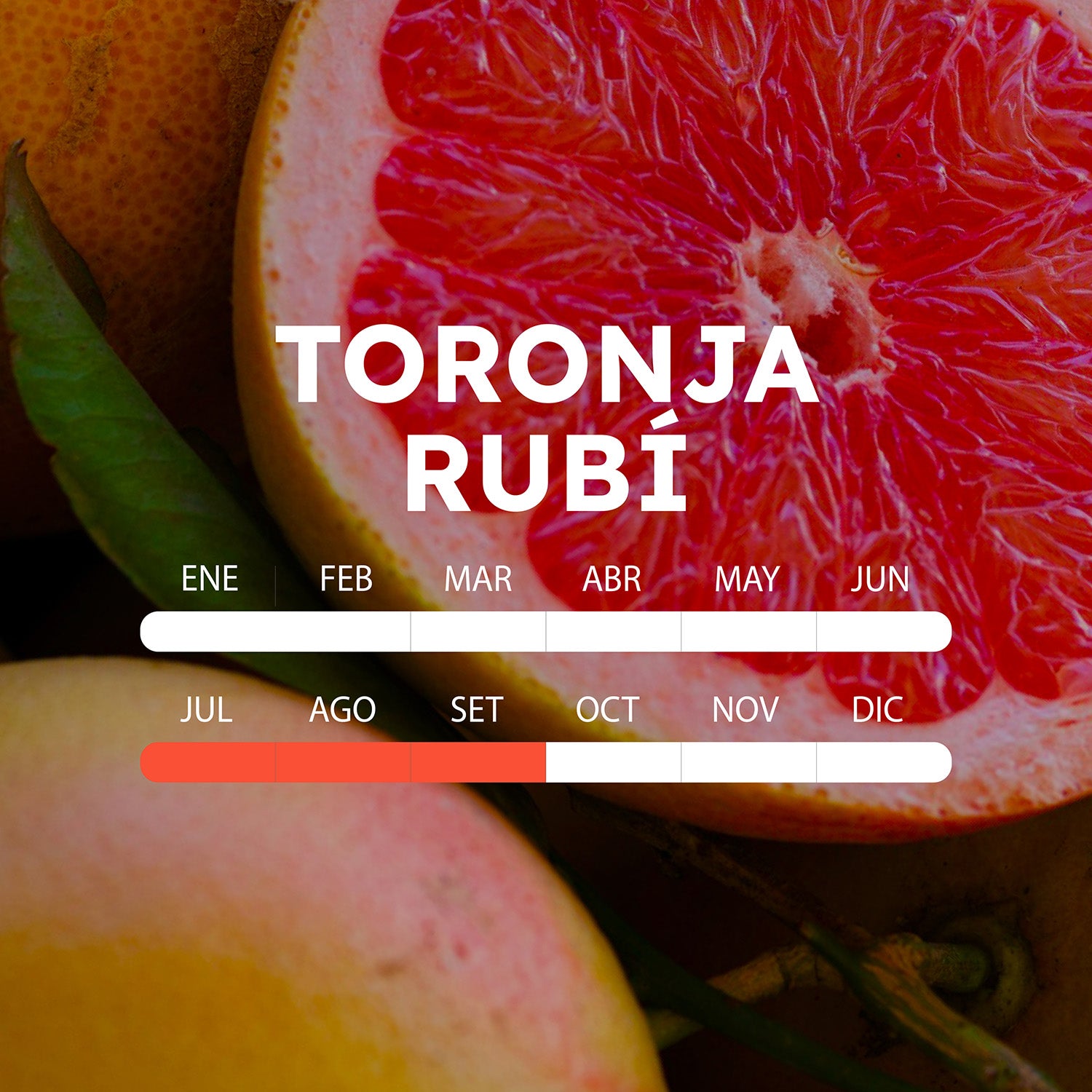 temporada-toronja-rubio-mobile.jpg